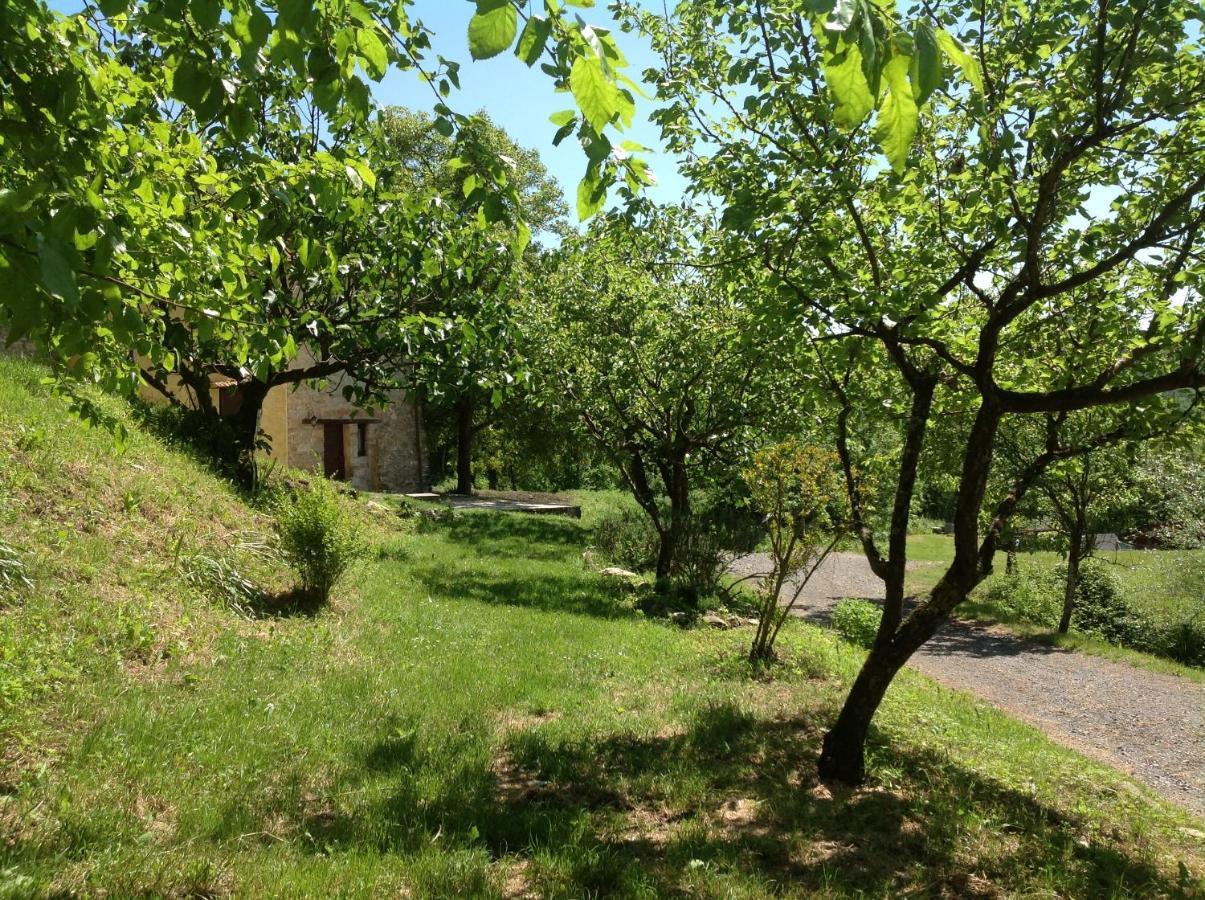 Agriturismo Il Picchio Verde Licciana Nardi Exteriér fotografie
