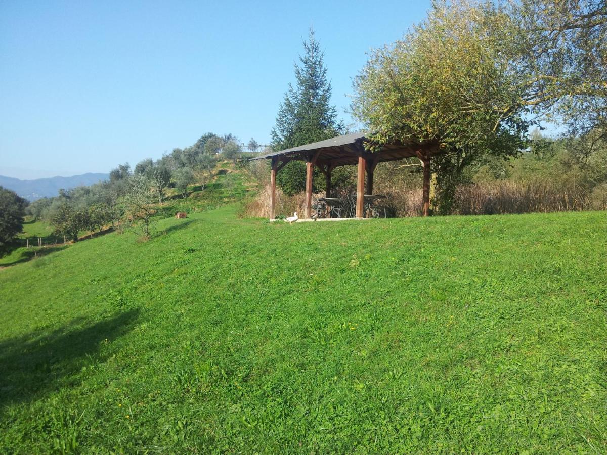 Agriturismo Il Picchio Verde Licciana Nardi Exteriér fotografie