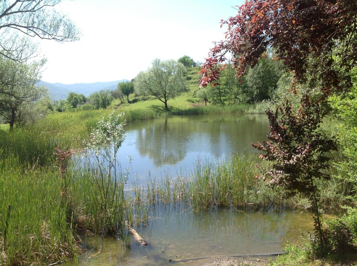 Agriturismo Il Picchio Verde Licciana Nardi Exteriér fotografie